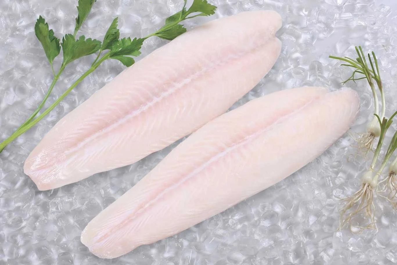 Pangasius Fillet Well Trimmed