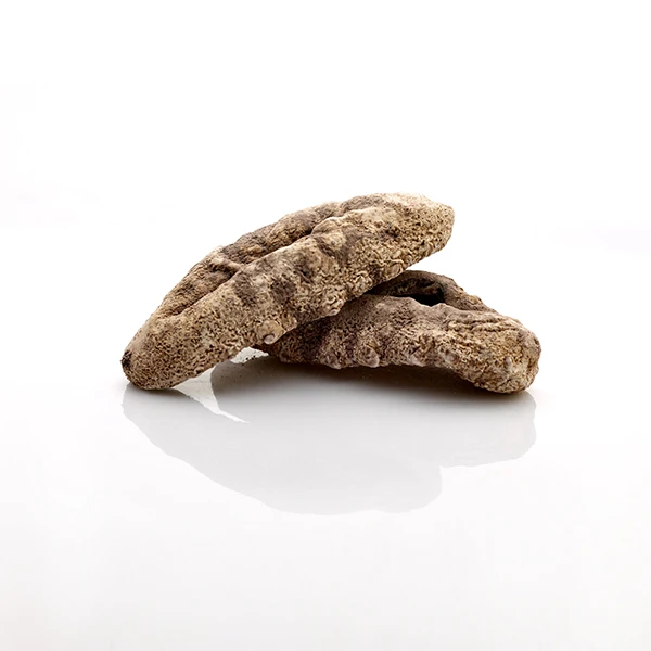 Dried White Teat Sea Cucumber