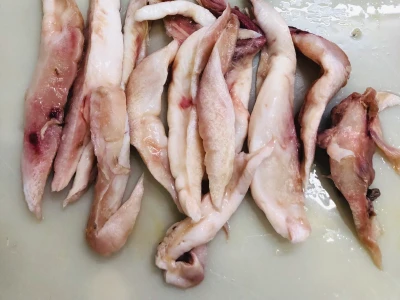 Frozen YellowFin Tuna Tendon