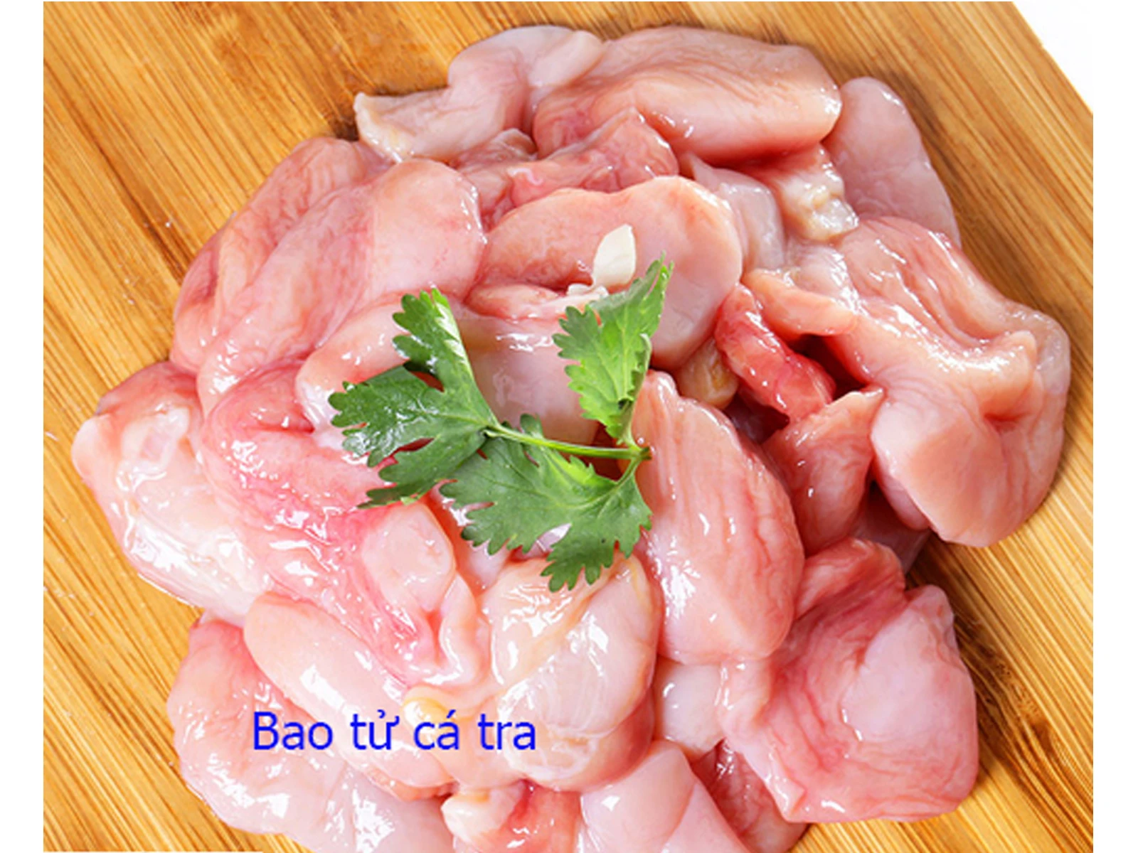 Pangasius Stomach