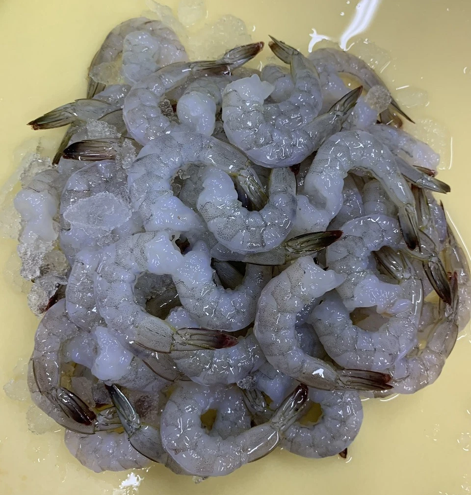 PDTO Vannamei Shrimp