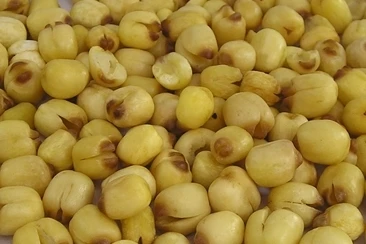 Vietnam Expo | Fried Lotus Seed