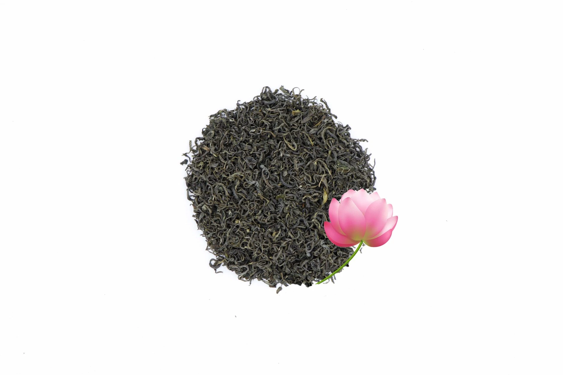 Lotus Green Tea