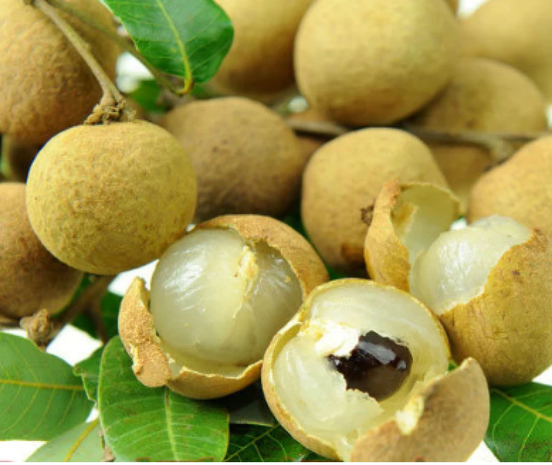 Longan