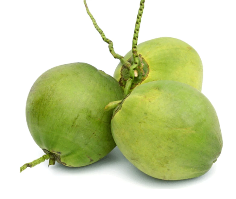 Young Coconut