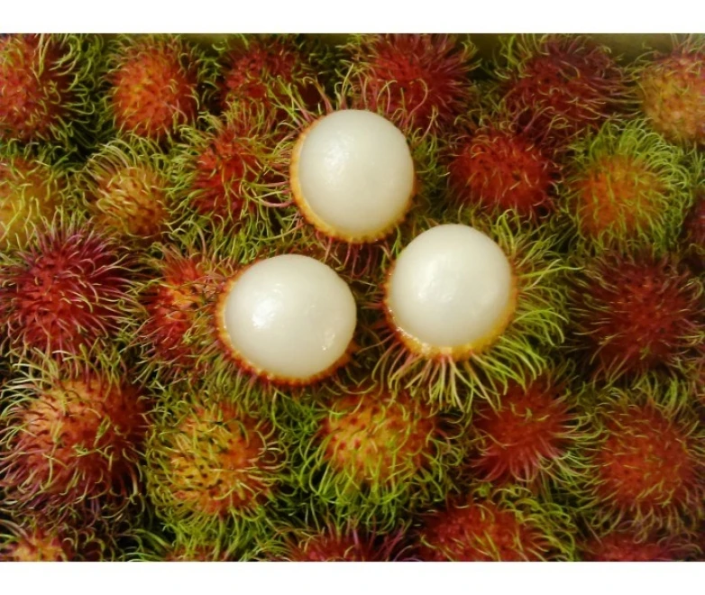 Rambutan