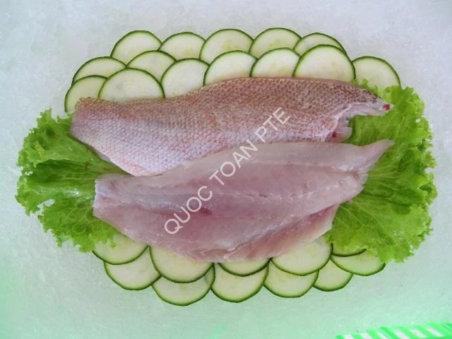 Malabar Snapper Fillet