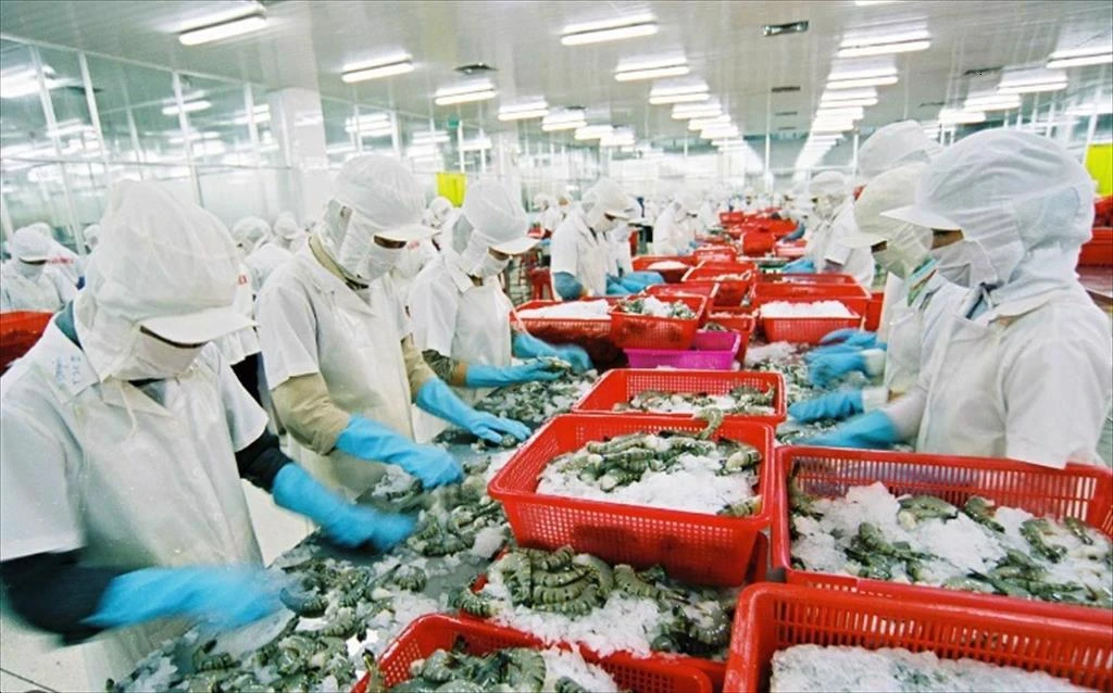 Vietnam shrimp enterprises strive to "overcome the waves"