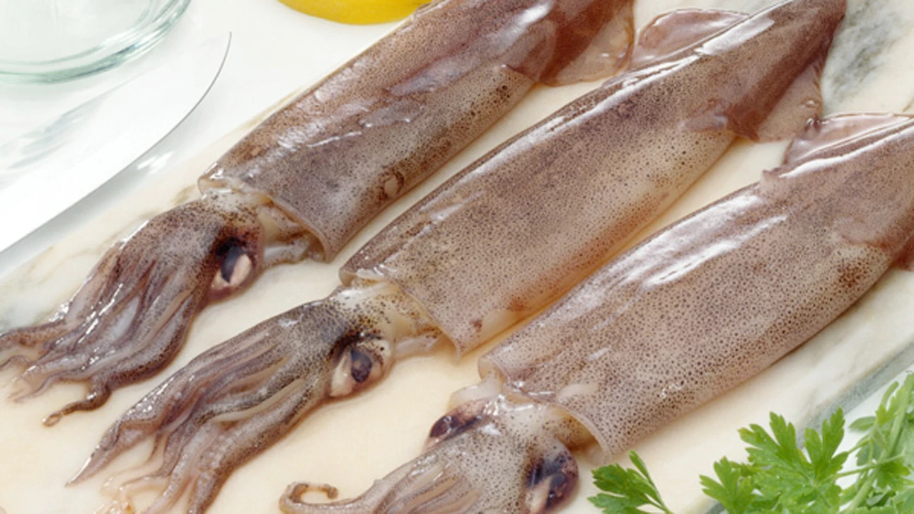 Vietnam cephalopod exports reached 660 million USD in 2023