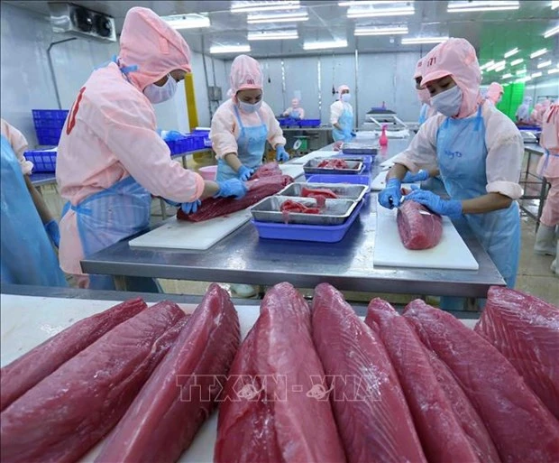 Vietnam’s tuna products exported to 80 markets worldwide