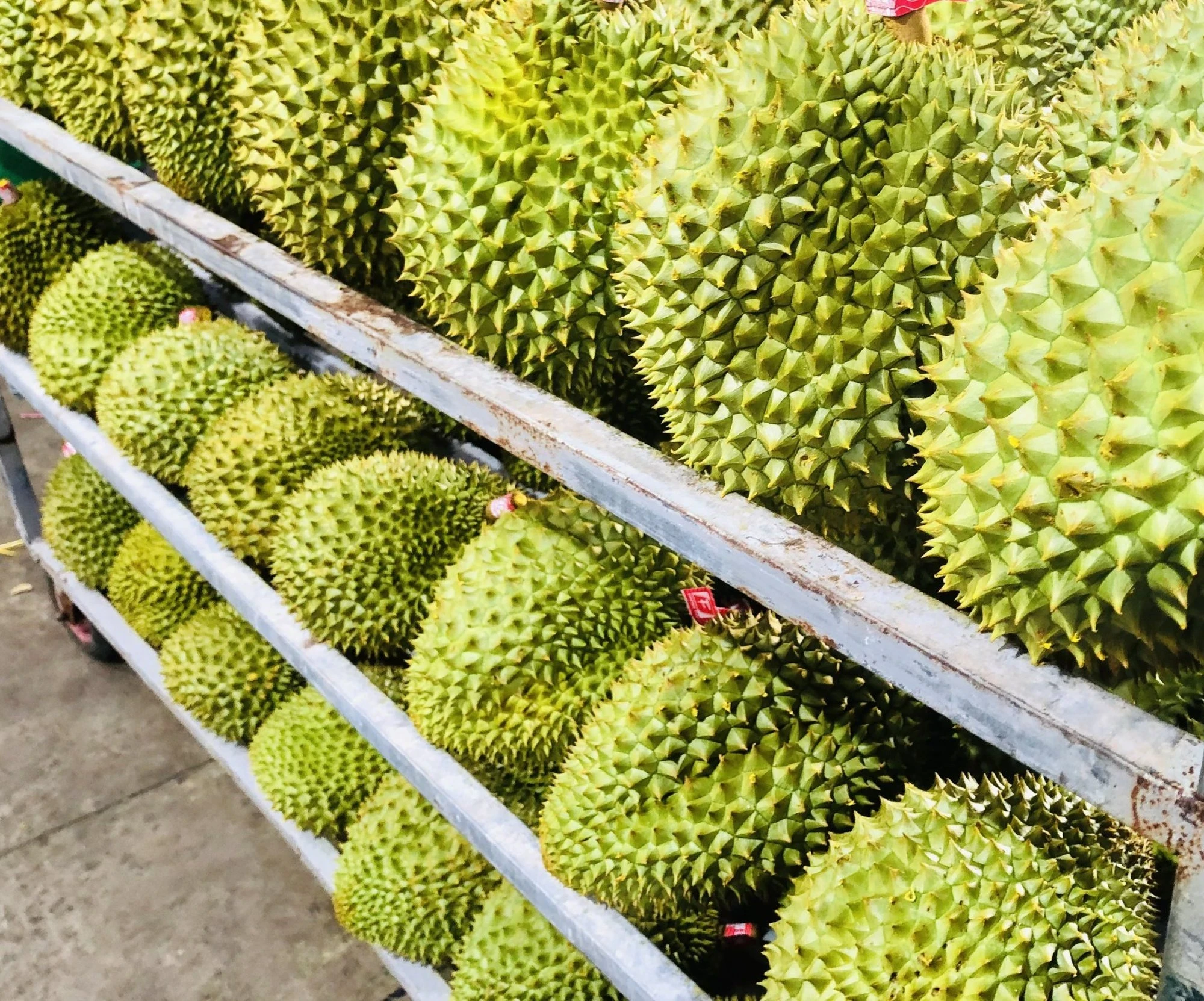 Vietnam's durian exports to China boom in Q1