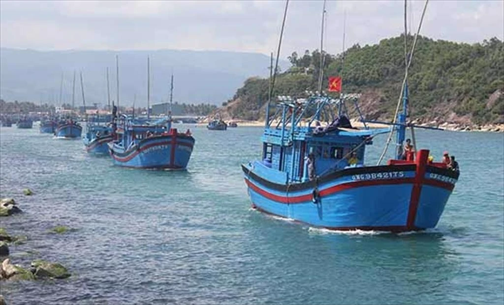 Enterprises want clearer regulations on seafood production