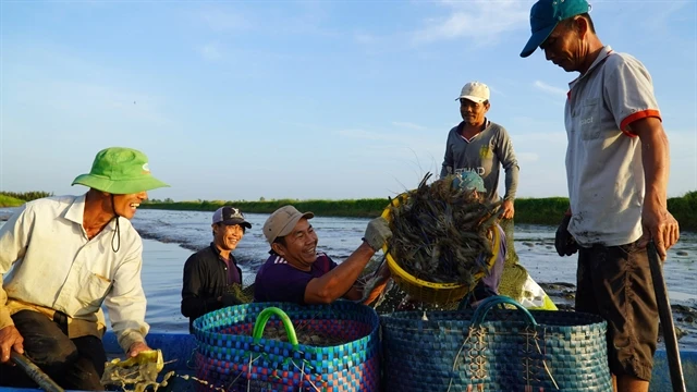 Kiên Giang posts 21.26% increase in exports over first four months