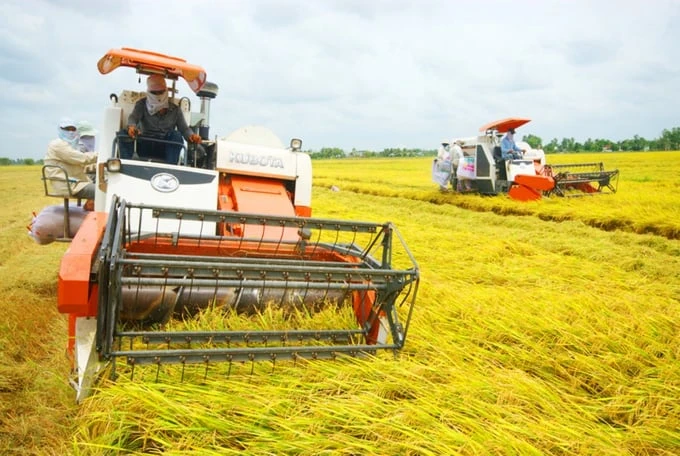 World Bank proposes a new approach for low-emission rice production