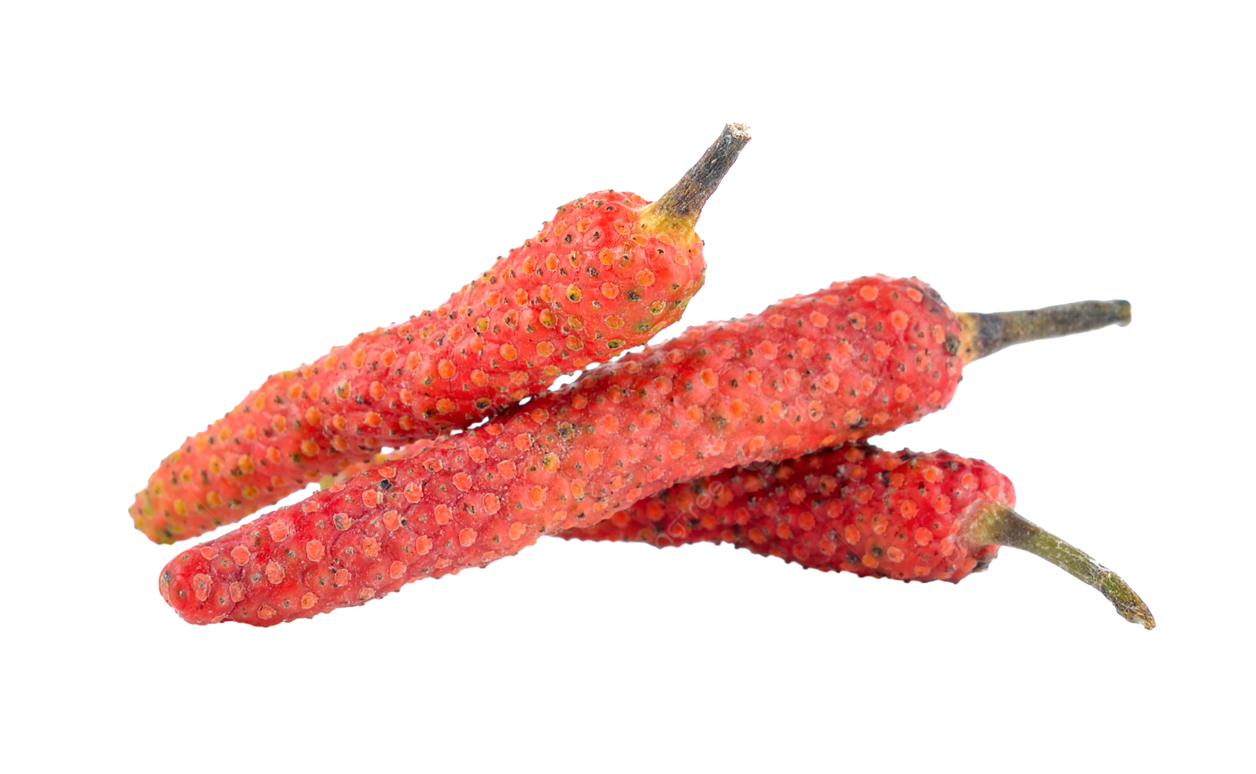 Long Red Pepper