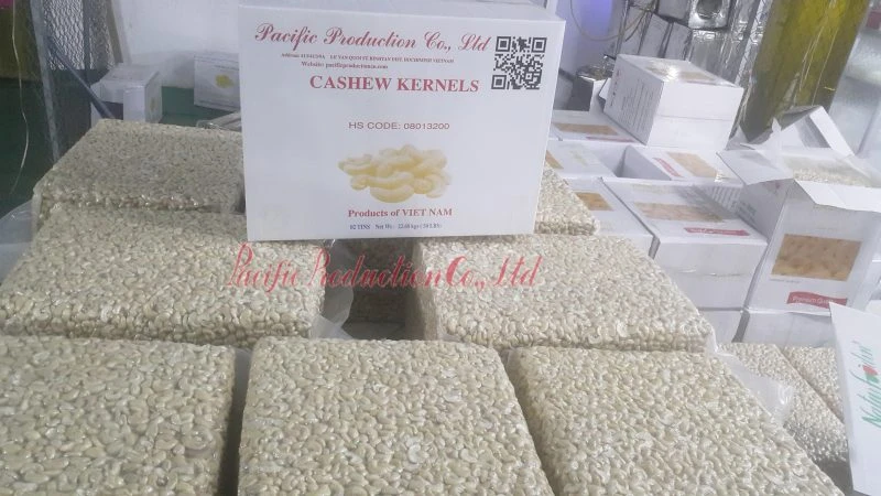 Vietnam Cashew Nut LBW240