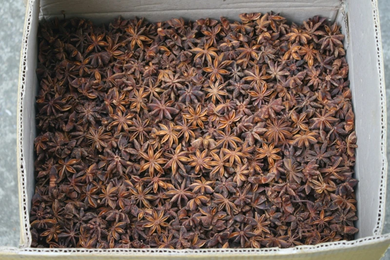 Star Anise