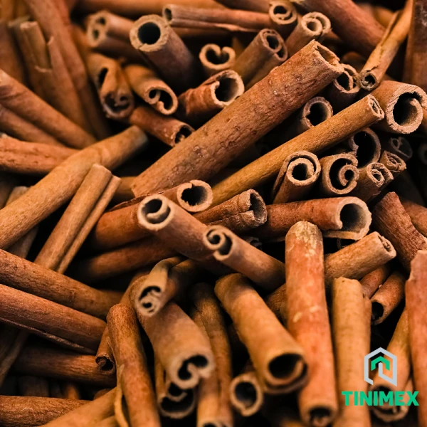 Cigarette Cassia Cinnamon