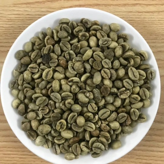 Robusta Green Coffee Beans Vietnam