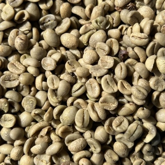 Robusta Green Coffee Beans Vietnam