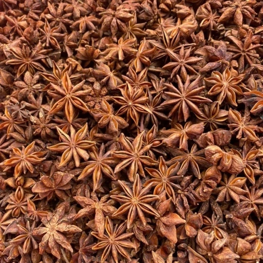 Star Anise