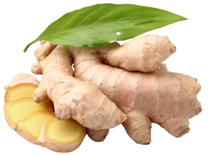 Fresh Ginger