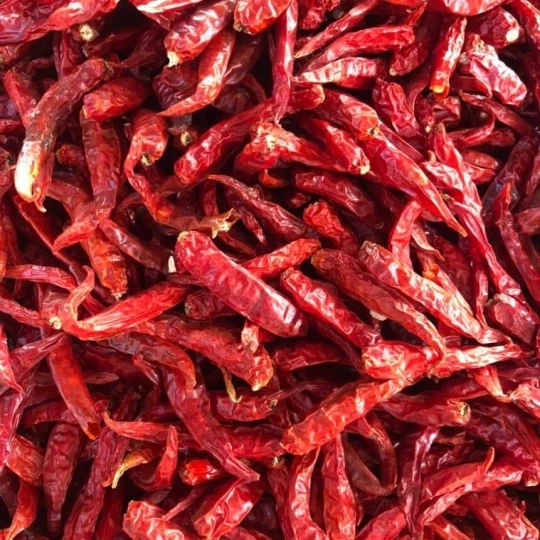 Dried Red Chillies