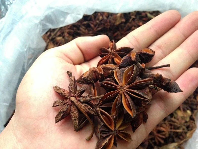 Star Anise