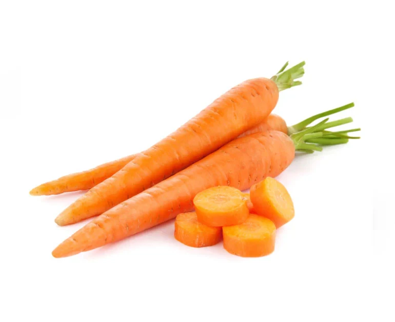 Carrot