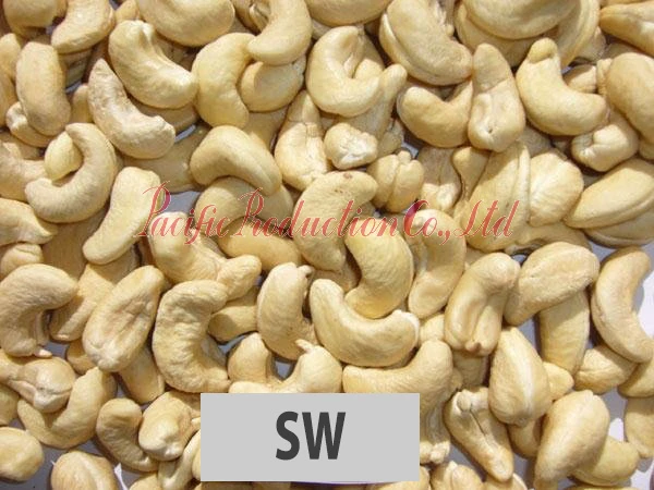 Vietnam Cashew Nut SW