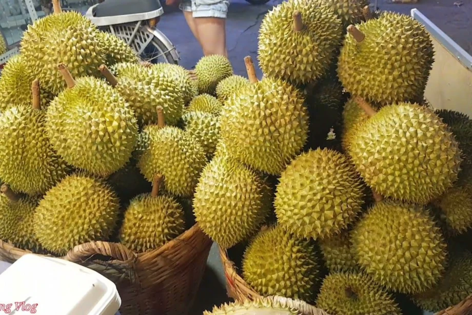 Musang King Durian