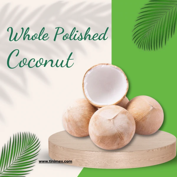 Vietnam Expo | Whole Polished Coconut