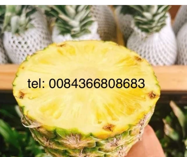 Pineapple Fresh fruit – Tinimex