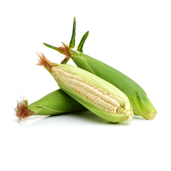 White Corn