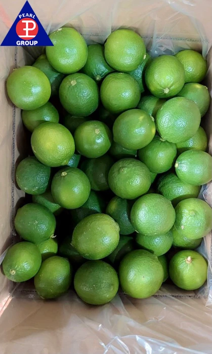 Seedless Lime