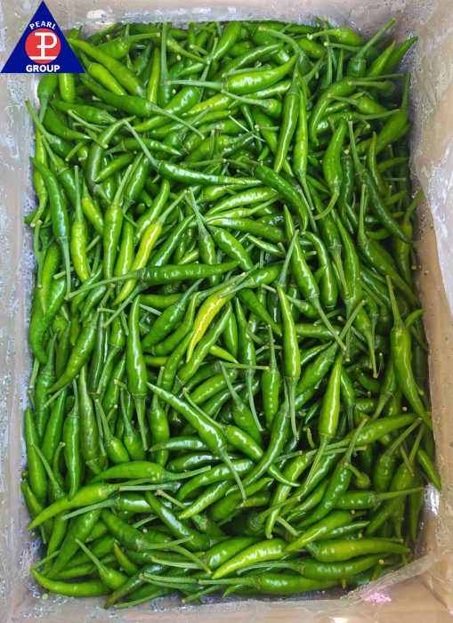 Fresh Green Chilli