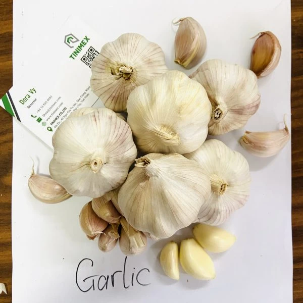 The Best Garlic From Vietnam