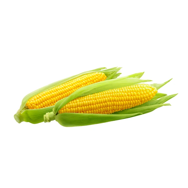 Sweet Corn