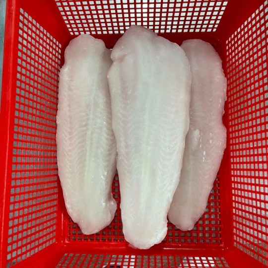 Pangasius