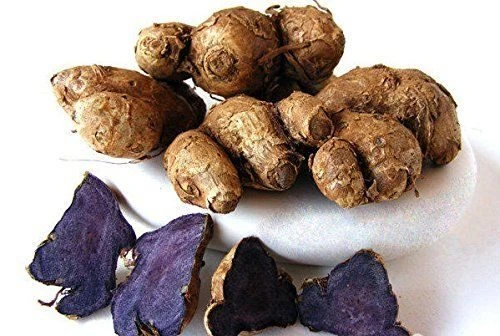 Black Turmeric