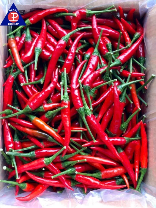 Fresh Red Chilli