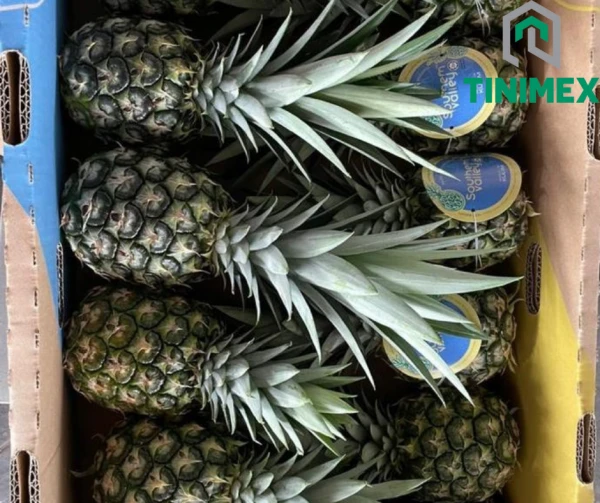 Pineapple Fresh fruit – Tinimex