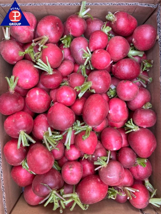 Red Radish