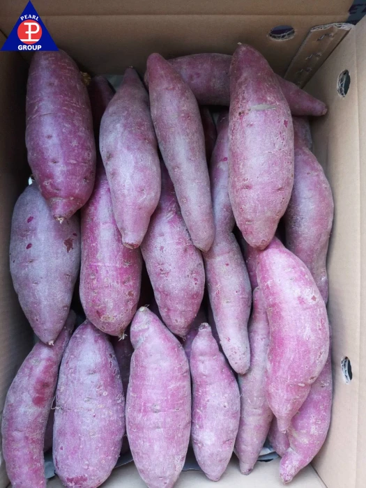 Purple Sweet Potato