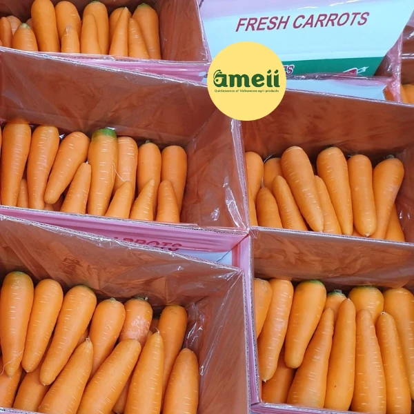 Ameii Carrot