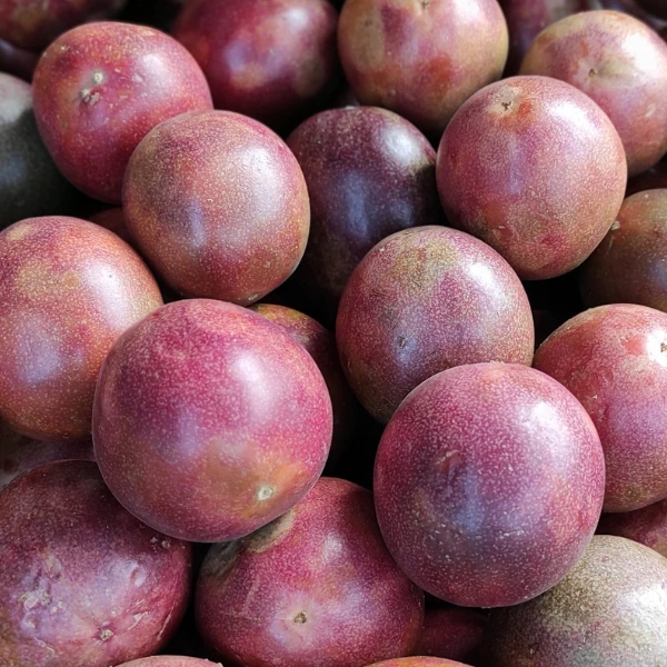 Passion Fruits