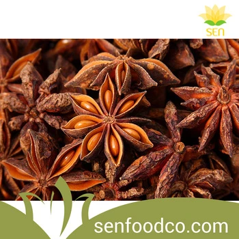 Autumn Star Anise