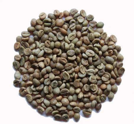 Unwashed Robusta - Grade 1 Screen 16