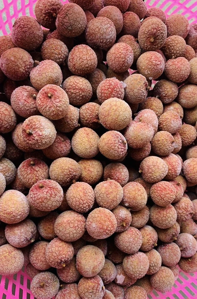 Vietnam Frozen IQF Lychee