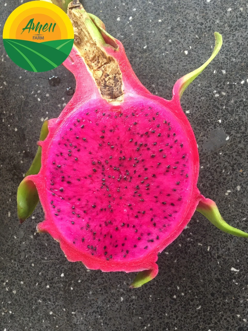 Ameii Red Flesh Dragon Fruit